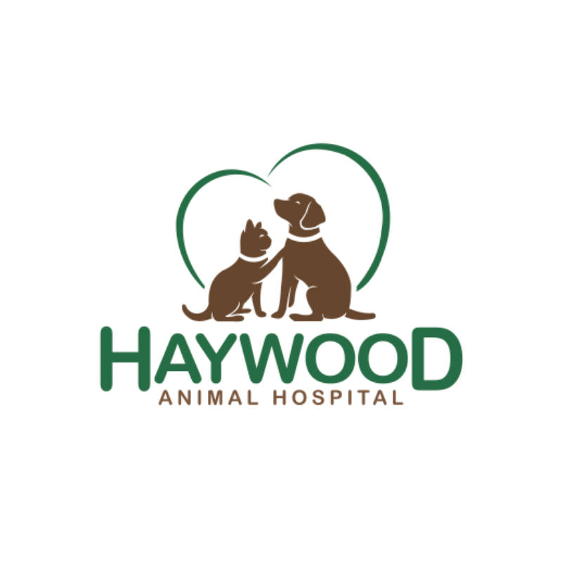 Haywood Animal Hospital