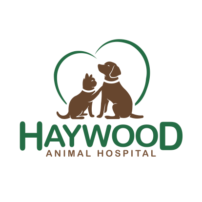 Haywood Animal Hospital